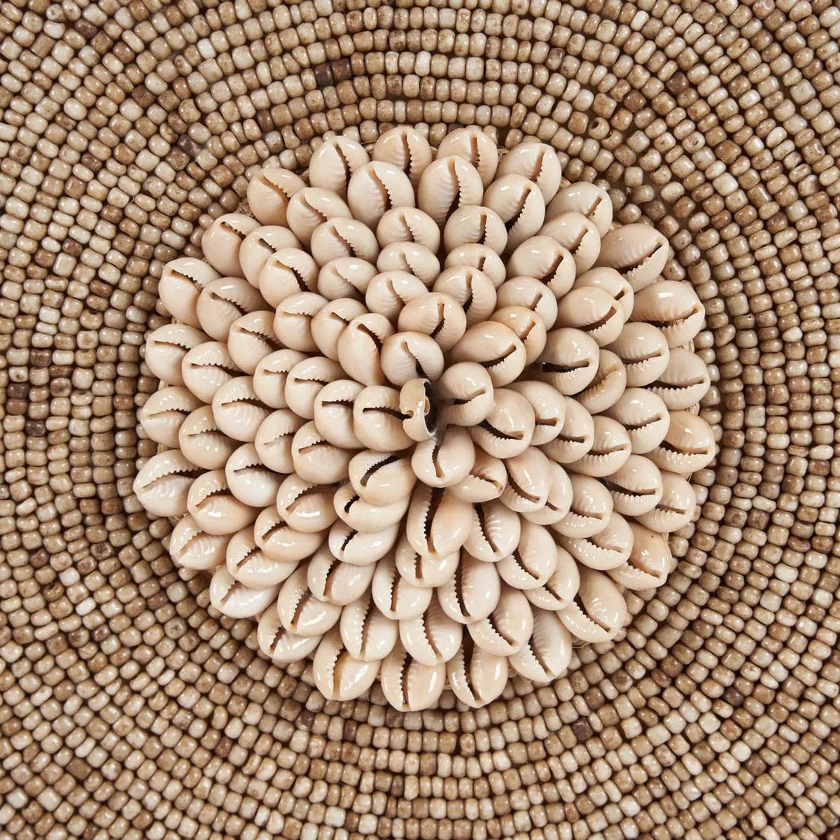 Decoratieve schelp op standaard - Guadeloupe - handgemaakt - 55 cm